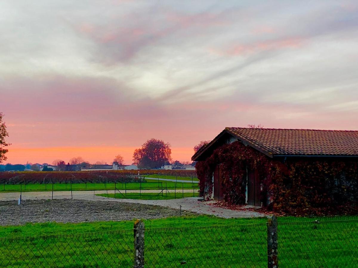Coucher de soleil sur les vignes autour de Margaux-Cantenac